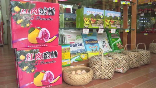 農(nóng)村電商網(wǎng)紅助力農(nóng)產(chǎn)品熱銷，促進(jìn)農(nóng)民增收致富